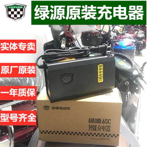 绿源电动车电瓶车载充电器48V60V72V12/20AH-20E30E-T2T4T原装配