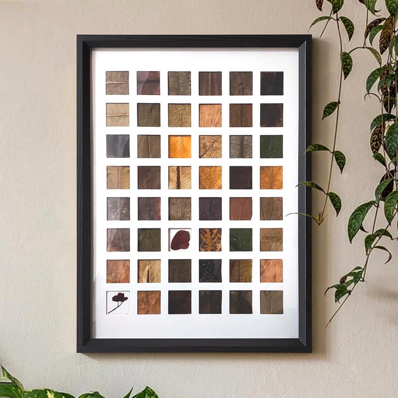 树叶标本相框diy24 48宫格空框落叶捡秋创意手工装饰剪纸画框