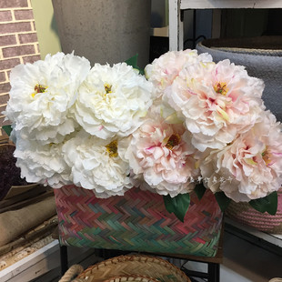 家居摆设花 新款 高仿真大朵洋牡丹五头芍药婚庆装 饰 花墙配花软装