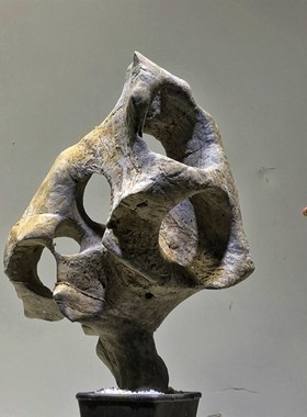 太湖石 假山盆景石头小摆件鱼缸造景附石观赏石天然石材原石抱石