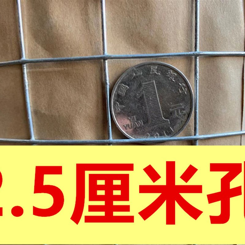 热镀锌铁丝网围栏电焊网养殖鸡钢丝网格阳台防护小孔防鼠隔离铁网