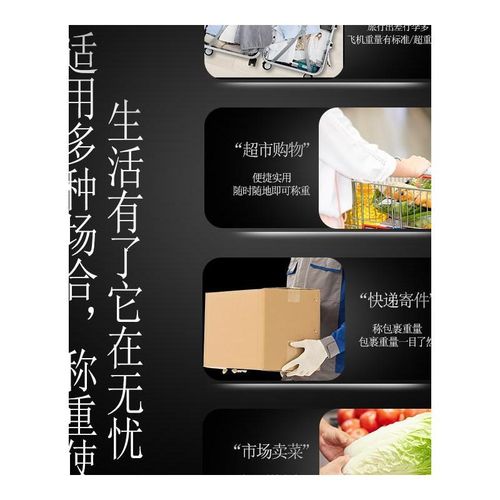 德国精工电子秤g小型家用高精度便携式迷你勾称行李秤钓鱼