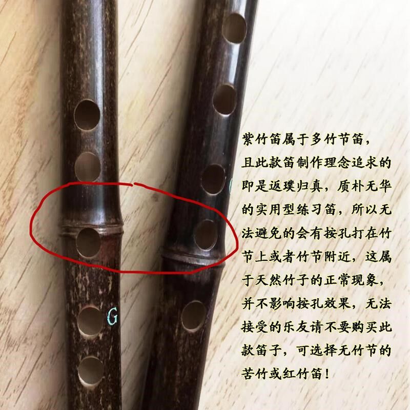 赠伴奏森雀笛子支紫竹笛小小降降+笛包笛膜保护器