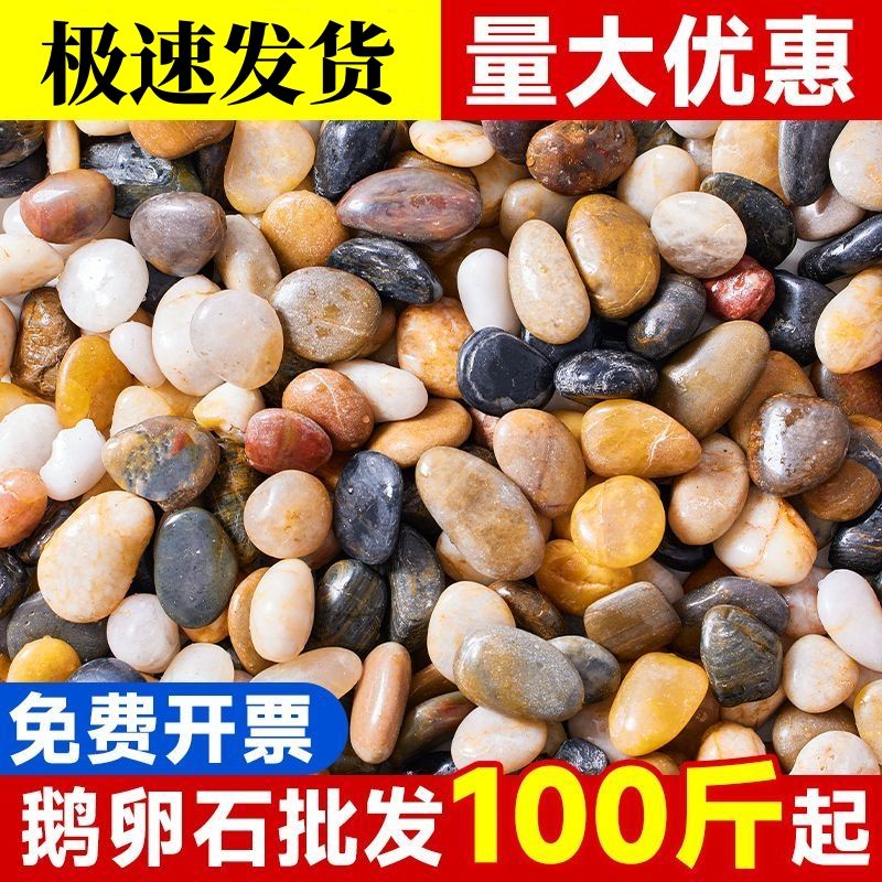 五彩鹅卵石天然石子铺地