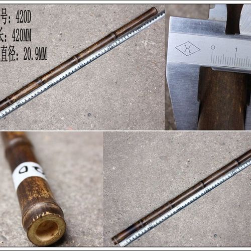 紫竹京胡担子福建闽侯 鳝鱼鳝鱼黄大二黄担子 节2