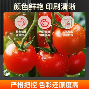 画 画册印刷宣传册定制作本手册设计公司广告产品会议企业员工印