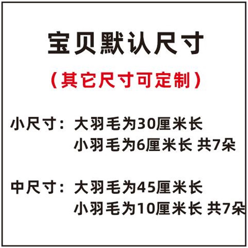 卧室背景墙造型贴纸DIY手绘彩绘乳胶漆刷漆模板单个自由 羽毛