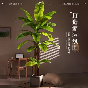 芭蕉树仿真大型绿植假室内装饰假树客厅落地仿生造景