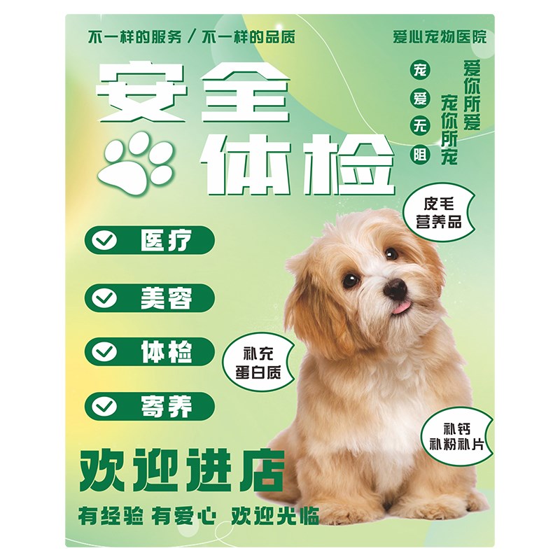 宠物店装饰广告贴纸萌宠美容医院橱窗门贴布置卡通贴纸画安装便捷