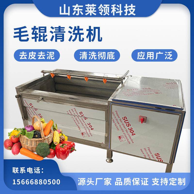 全自动红薯毛辊清洗机商用土豆萝卜去皮清洗机不锈钢清洗设备