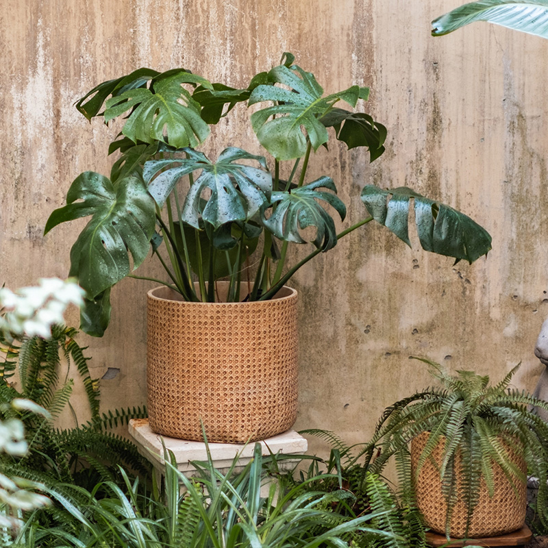 仿藤编花盆大口径阳台室内专用创意多肉绿植水泥盆栽装饰多肉花盆