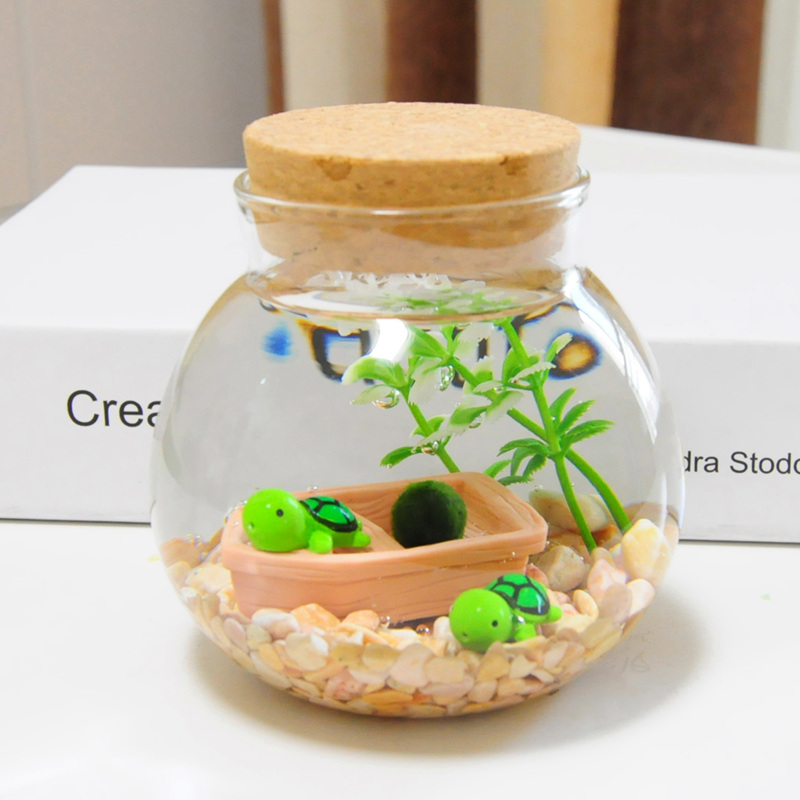 Mrimo幸福海藻球微景观生态瓶玻璃瓶创意迷你桌面植物diy盆栽