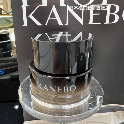 日本直邮包邮嘉娜宝新奢华粉底霜