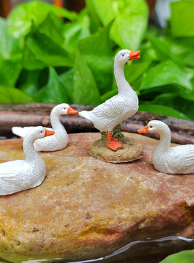 迷你小白鸭子动物摆件花园庭院假山小水池阳台盆景盆栽造景装饰品