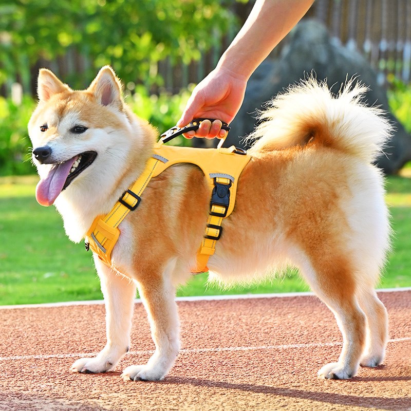 狗狗牵引绳防挣脱中小型犬柯基柴犬胸背带小狗幼犬反光遛狗绳链子