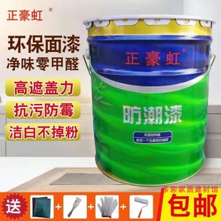 家用白色彩色墙面漆内墙漆 环保内墙乳胶漆 室内油漆涂料净味20kg