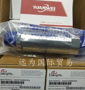 美国ENTEGRIS英特格过滤器WG2FT1SS2