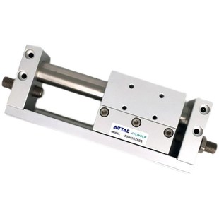 25X50X100X150X200X250X300S 无杆气缸RMH10 亚德客磁偶式