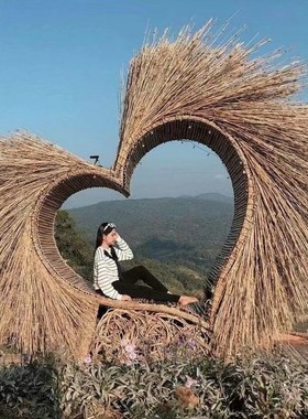 巴厘岛网红鸟巢户外拍照秋千创意藤编吊椅景区悬挂打卡拍摄道具