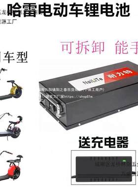 哈雷电动车锂电池60v12a20ah64V1H72Vx7X9可拆卸大容量...