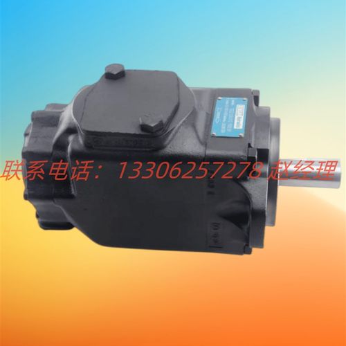 T6CCW 022 008/006/005/003 1R00/2R00 C100丹尼逊DENISON叶片泵