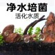 火山石底砂鱼缸专用天然造景石头装 饰古法养鱼滤材水草泥砂石颗粒