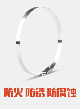 顿麦斯304不锈钢扎带4.6*300自锁扎带金属扎带不锈钢卡扣绑带扎丝