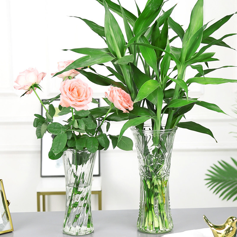 简约大号透明大口玻璃花瓶水培百合富贵竹鲜花插花瓶客厅家用摆件,鲜花速递/花卉仿真/绿植园艺,花瓶,淘宝优惠券,粉丝福利购,淘宝优惠卷