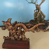 舞描老清代金座龙人物木雕