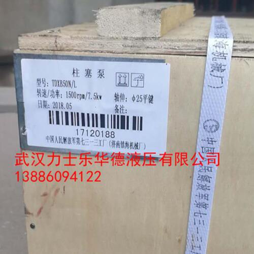 轴向柱塞泵TDXB16/20/25/32/40/50/63/80/100N/L(R) 恒功率变量泵