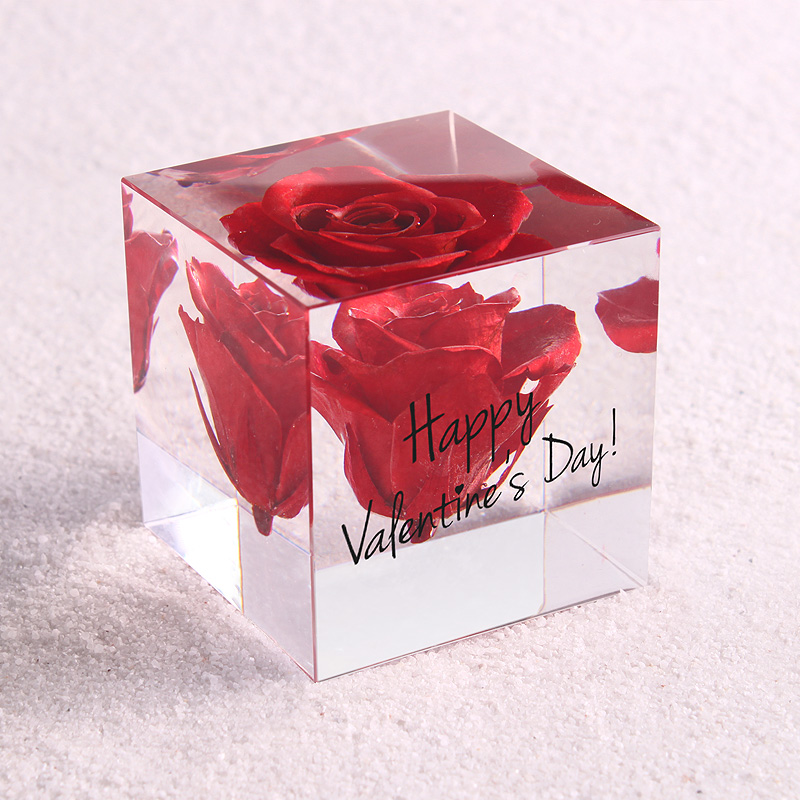 蒲公英标本玫瑰永生花雏菊植物立方体水晶摆件树脂车载家居镇纸