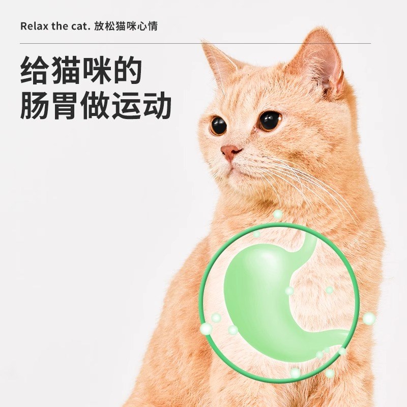 猫咪磨牙棒木天蓼成幼猫洁齿自嗨解闷猫草薄荷逗猫棒玩具猫咪零食
