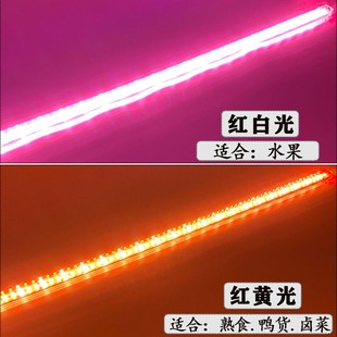 地摊夜市生鲜灯条12V电瓶48V60V电动车灯条熟食鸭货水果摆摊专用