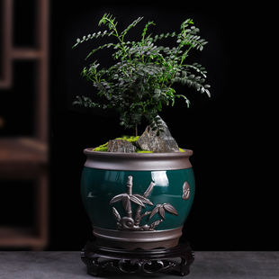清香胡椒木紫砂花盆室内文竹绿植盆创意圆形蝴蝶兰透气高脚盆景盆