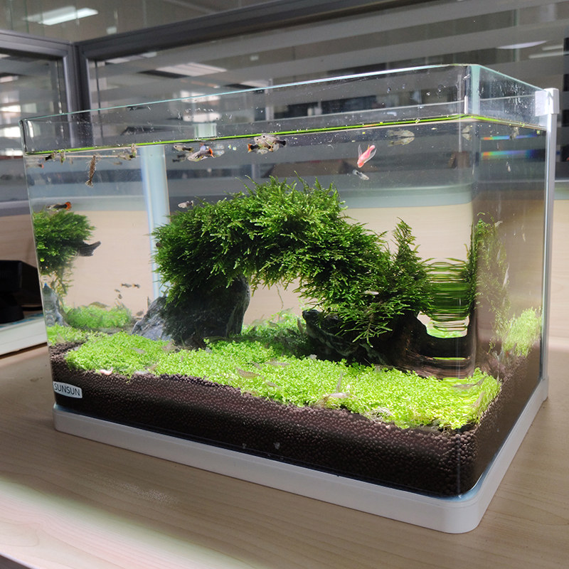 森森鱼缸超白玻璃小型热弯水族箱办公桌面客厅透明中型生态水草缸