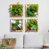 30X30方形仿真绿植框壁挂 饰品仿真多肉 商场店铺餐厅幼儿园墙面装