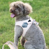 BORORO狗狗胸背带遛狗绳子防挣脱背心式 中小型犬宠物牵引绳子狗链