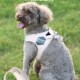 BORORO狗狗胸背带遛狗绳子防挣脱背心式 中小型犬宠物牵引绳子狗链