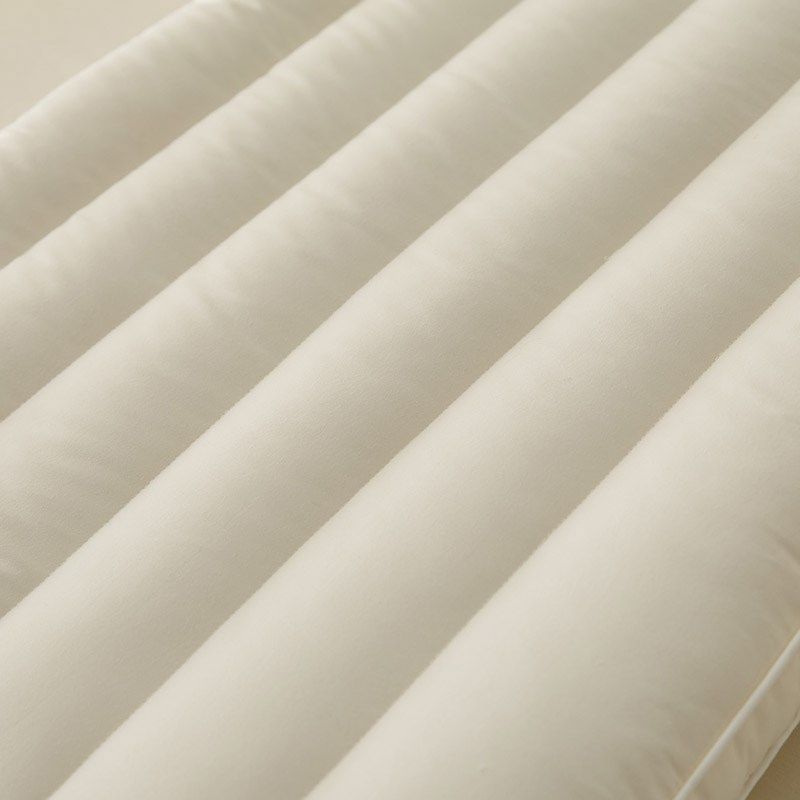 纯棉家用枕头助睡眠可水洗学生宿舍枕芯护颈椎专用不塌陷整头一对