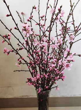 桃花枝遇水开花花卉家用客厅新鲜桃枝条现剪桃树真花泡水干枝桃花