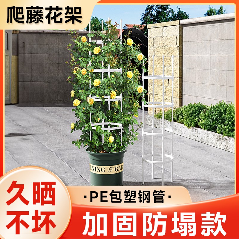 园艺藤本花架爬藤架园艺藤本月季支撑架玫瑰盆栽支架支柱庭院室外