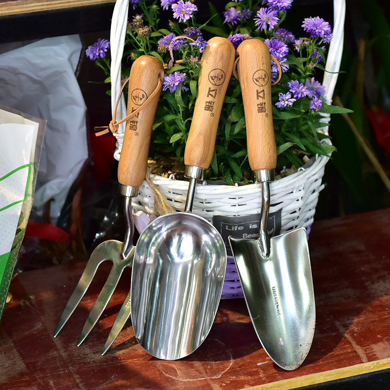 园艺用品套装家用花园种植养花种花种菜工具小铲子锄头耙子三件套,鲜花速递/花卉仿真/绿植园艺,铲子,淘宝优惠券,粉丝福利购,淘宝优惠卷