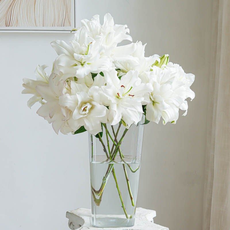 A级重瓣百合鲜花多头冰美人鲜花带花苞重瓣百合花束鲜花云南直发,鲜花速递/花卉仿真/绿植园艺,花材,淘宝优惠券,粉丝福利购,淘宝优惠卷