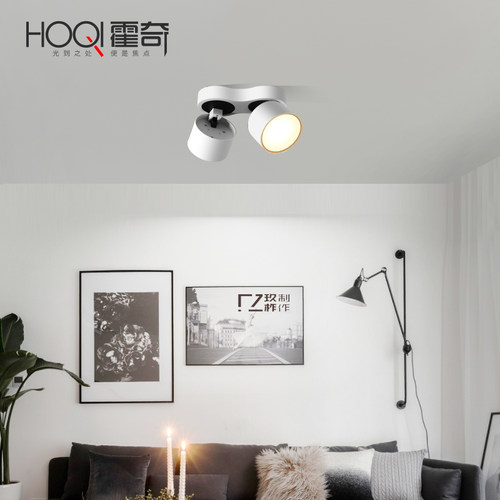 明装双头筒灯led天花单灯斗胆灯豆胆灯格栅灯吸顶吊顶可折叠射灯