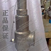 16P DN25 安全阀 A22H DN32碳钢铸钢不锈钢永一牌弹簧全启式