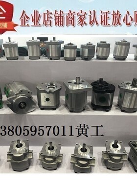 齿轮泵HGP-1A-F5R HGP-1A-F6R HGP-1A-F8R