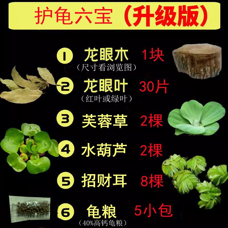 养乌龟专用缸龙眼木晒台爬坡躲避窝净化水质水草绿植造景摆件用品图片