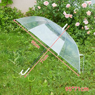 加大纯透明雨伞小清新自动长柄双人用大伞抗风挡雨拍照道具