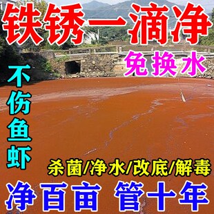 鱼塘水质净化剂除铁锈水净水剂池塘变清去油膜消毒杀菌药水立清灵