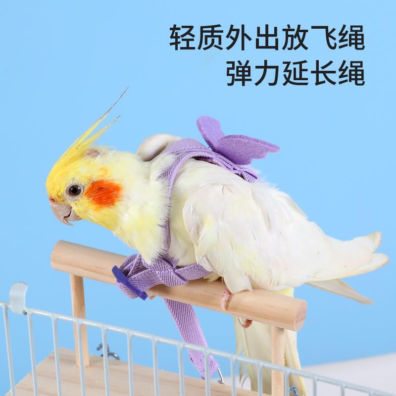 虎皮玄凤牵引绳小鸟外出绳鸟用放飞绳飞行外出背带遛鸟用品